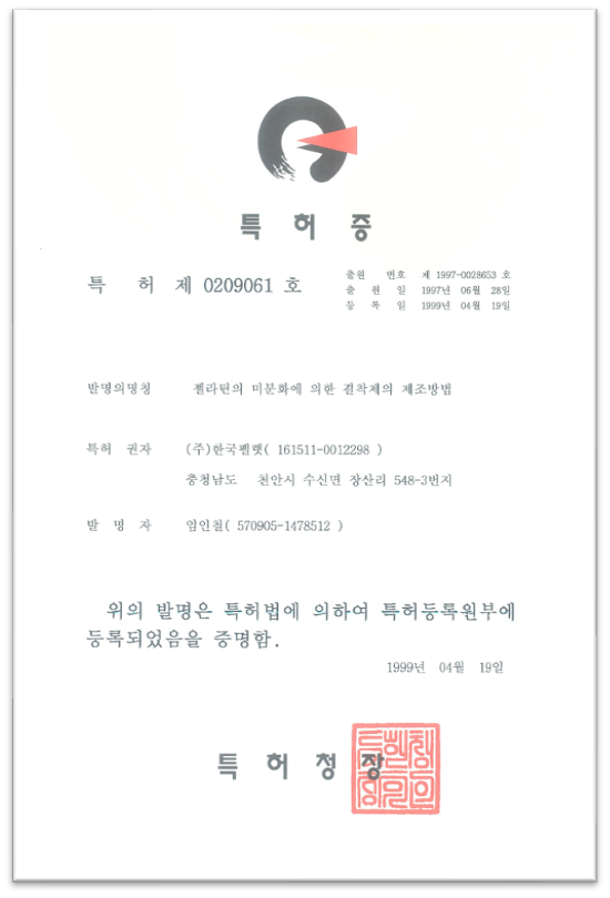 특허 0209061 문서